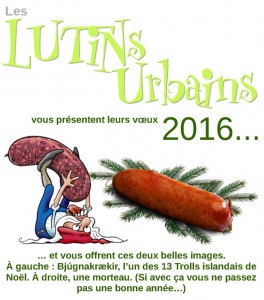 voeux 2016